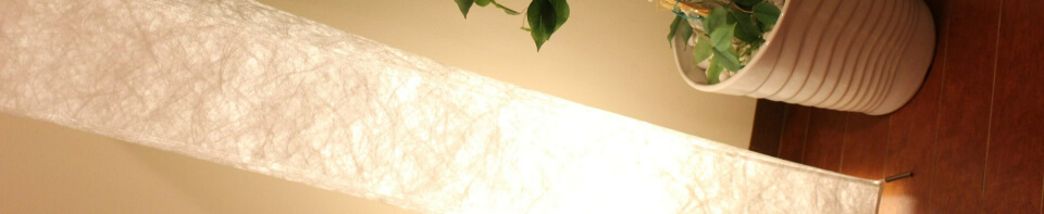 観葉植物の写真